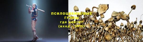 тгк Баксан