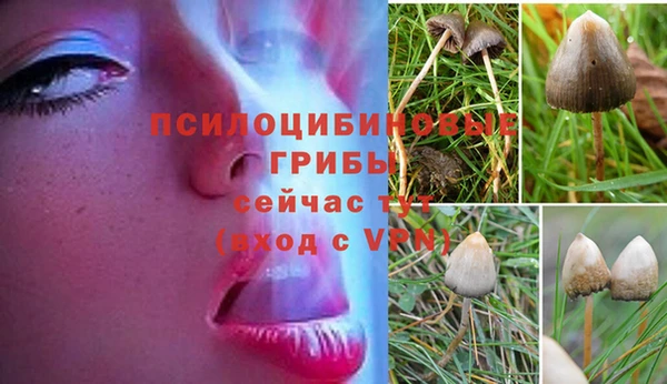 тгк Баксан