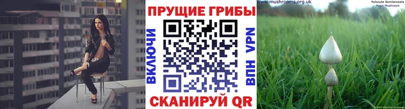 Псилоцибиновые грибы мухоморы купить наркоту Гороховец